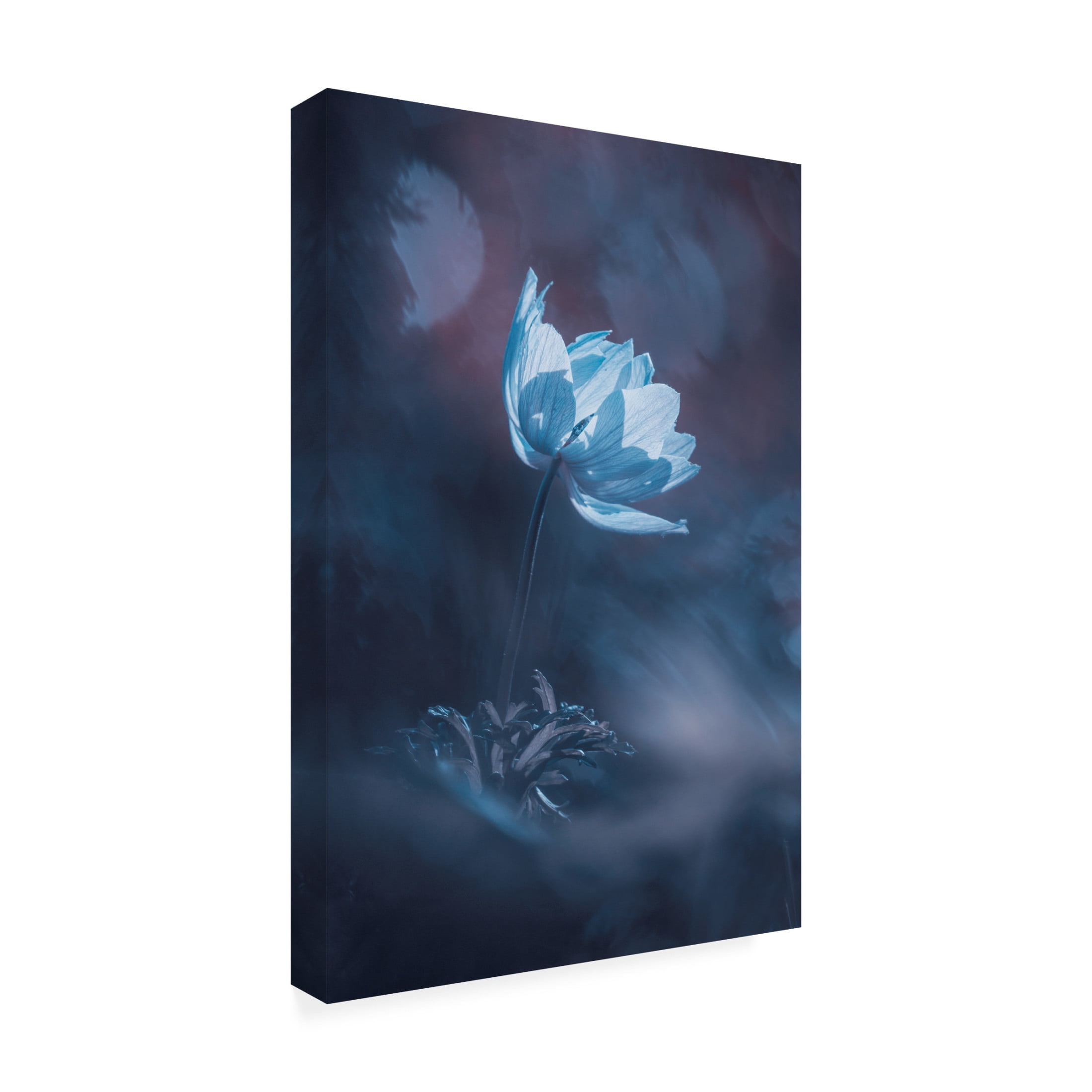 Canvas Wall Art - Fabien Bravin 'Dream On' Wall Art for Living Room, Bedroom, or Office Décor by Trademark Fine Art - 16 x 24 Inches