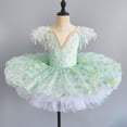 thumbnail image 3 of Ticikt Ballerina Swan Lake Dance Pancake Platter Tutu Ruffle Sleeve Floral Print Gymnastics Leotard Ballet Tutu, 3 of 4