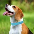 thumbnail image 4 of Collar de perro personalizado, nombre de mascota y número de teléfono bordados personalizados, anillo en D de liberación rápida, 4 of 5