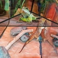 thumbnail image 2 of Methold Camaleón lagarto araña red para gatear cama reptil hamaca ventosa red colgante Decoración del hábitat del terrario No.01, 2 of 6