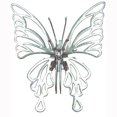 thumbnail image 1 of OWI-354 - Papillon Angélique, 1 of 1