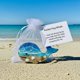thumbnail image 1 of Regalo de bolsillo, 1 of 6