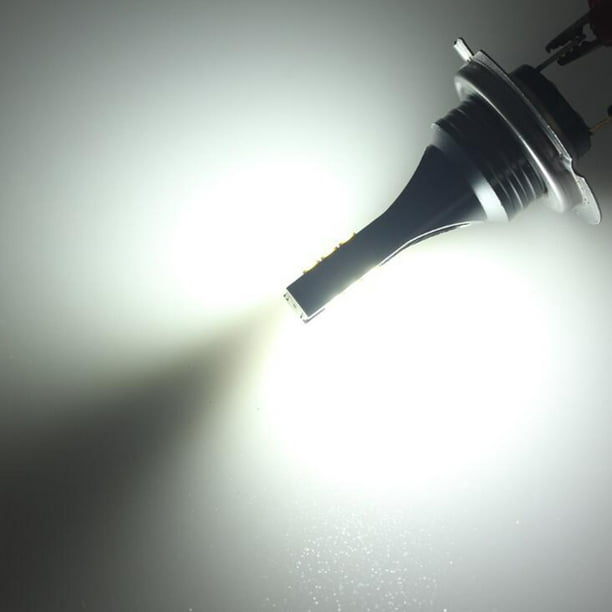 Ampoules xenon 100W haut de gamme metal H7 Next-Tech®