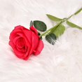 thumbnail image 1 of 10pcs Artificial Red Roses Flowers For Valentine's Day, Realistic Blossom Roses, Real Touch Silk Rose, Single Fake Flower Long Stem Bouquets, 1 of 2