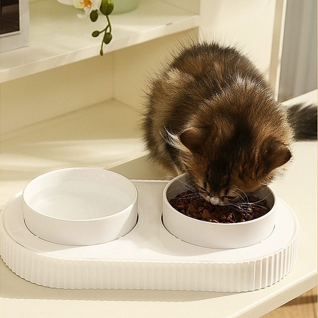 Double Ceramic Pet Bowl with USB Heating Keep Water and Food Warm and Dog Owners Cold Weather Pet Thermal Bowl