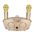 thumbnail image 3 of Portable Karaoke Machine With 2  Microphones  Speaker, Home KTV Karaoke System  Speaker For Meeting, Party, , DJ, Wedding, 3 of 8