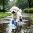 thumbnail image 3 of GASTROPOD 2026 New 4Pcs Dog Puppy Shoes Silicone Waterproof Pet Rain Boots Anti-Slip Skidproof Elastic Protective for Small Medium Large Dog, 3 of 5