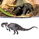 thumbnail image 3 of Modelo De Cadáver De Dinosaurio De Simulación, Figura De Cadáver De Dinosaurio De Plástico De Apariencia única Duradera Para Decoración Para Regalo Para Mayores De 3 Años, 3 of 7