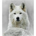 thumbnail image 2 of CafePress - White Wolf Mug - 11 oz Ceramic Mug - Novelty Coffee Tea Cup, 2 of 4