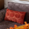 thumbnail image 4 of Oceanwell New Plush 3D Pumpkin Throw Pillows Covers - Fall/Christmas/Thanksgiving Decor, Cozy Textured Cushions for Couch/Bed,E,50X30cm, 4 of 7