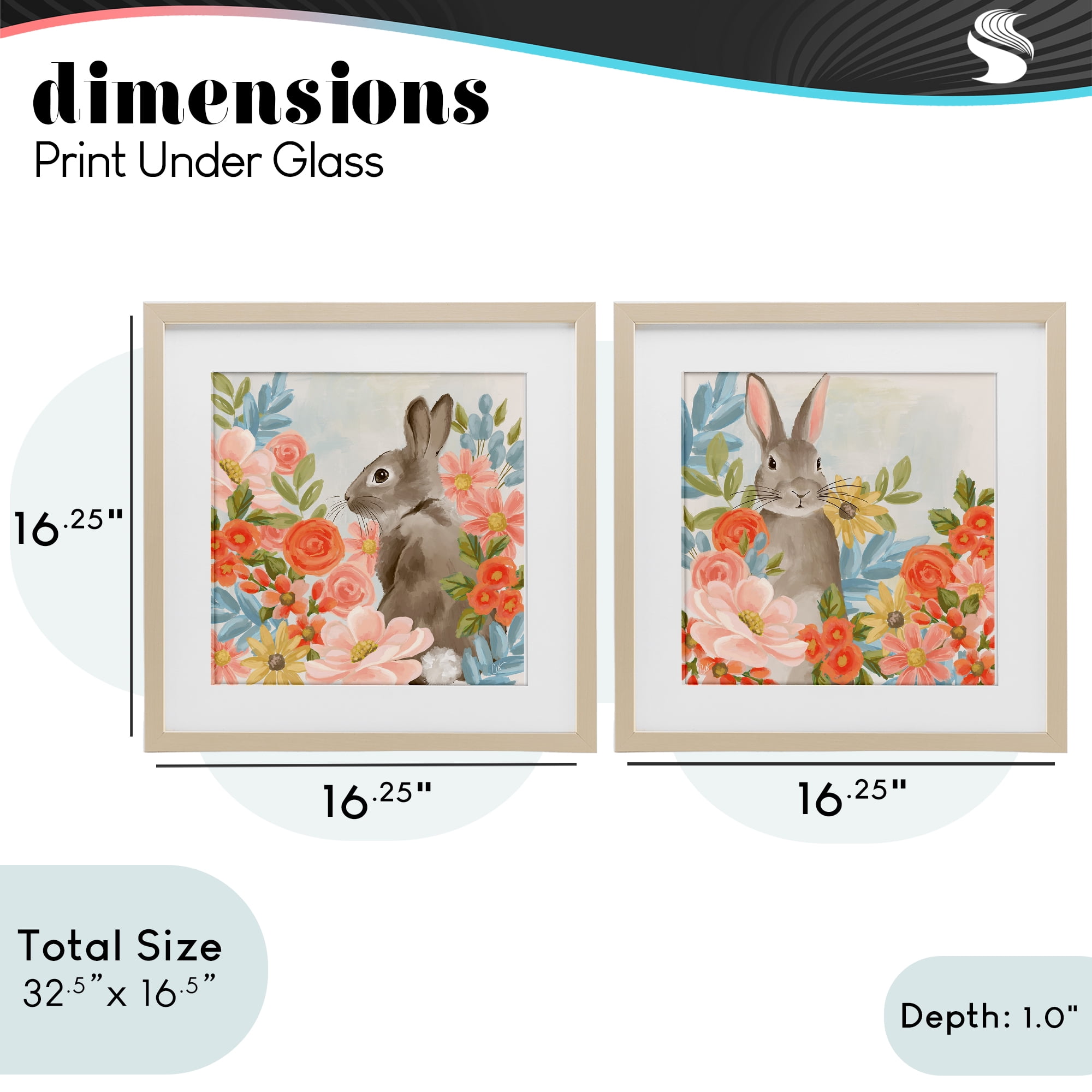 Stupell Industries Bright Bunny Blooms 2 Piece Birch Framed Print Under Glass Set, design by Cat Thurman Designs
