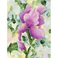 thumbnail image 3 of Holden, Jennifer 12x14 Black Modern Framed Museum Art Print Titled - Purple Iris, 3 of 5