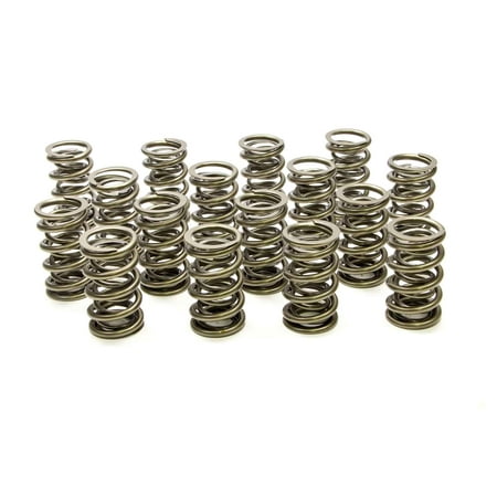 

PAC 1.564 OD Dual 1300 Series Valve Spring 16 pc P/N PAC-1386