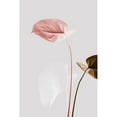 thumbnail image 3 of 1x Studio III 11x14 Black Modern Framed Museum Art Print Titled - Monstera Creative 21, 3 of 5
