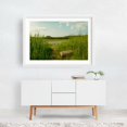 thumbnail image 2 of Wetland at Lions Park, Niskayuna 02 - New York Photography White Framed Wall Art Print 16 x 24 inches, 2 of 3