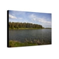 thumbnail image 1 of Canvas Print: Rural Alabama In The Spring, 2010, 1 of 3
