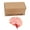 Brain, variant on Chill Pill Hair Claw Clip Pink and White Pharmacy-Inspired Design Acetate Hair Accessory for Women Girls Gift