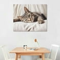 thumbnail image 2 of Nawypu  Relaxed Pet Feline Cat Nap Green Eyes, Canvas Wall Art, 2 of 4