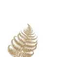 thumbnail image 3 of Phillip, Jamie 12x14 Black Modern Framed Museum Art Print Titled - Gold Fern 3, 3 of 5