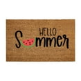thumbnail image 1 of Outdoor Welcome Mat Summer Theme Mat Hello Summer Watermelon Kitchen Rugs Non Slip Washable House Warming Gift 16x24IN Summer Door Mats Coir Door Mat Outside Door Mats for Home Entry Floor, 1 of 4