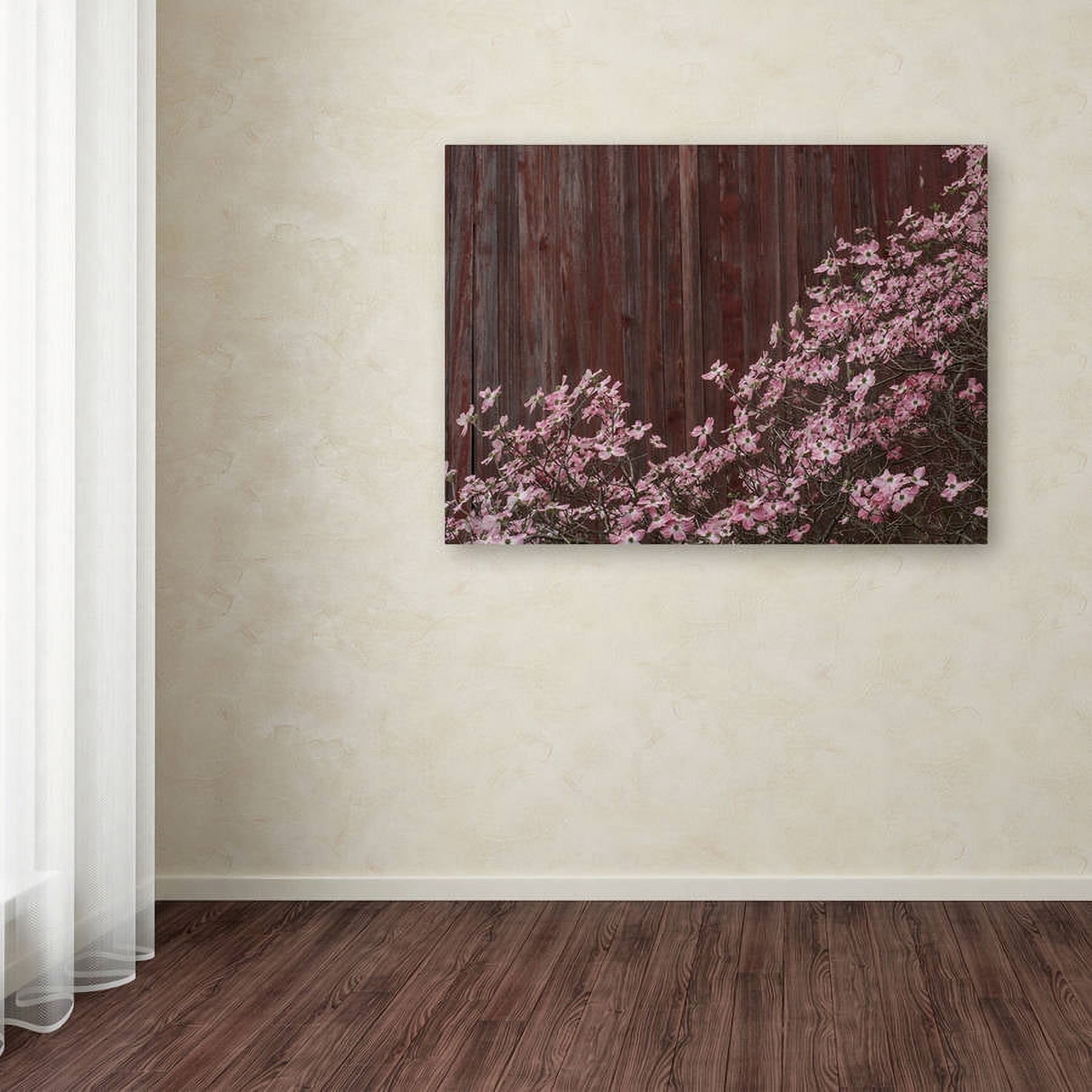 Trademark Fine Art "Pink Dogwood Red Barn Wood" Canvas Art by Kurt Shaffer
