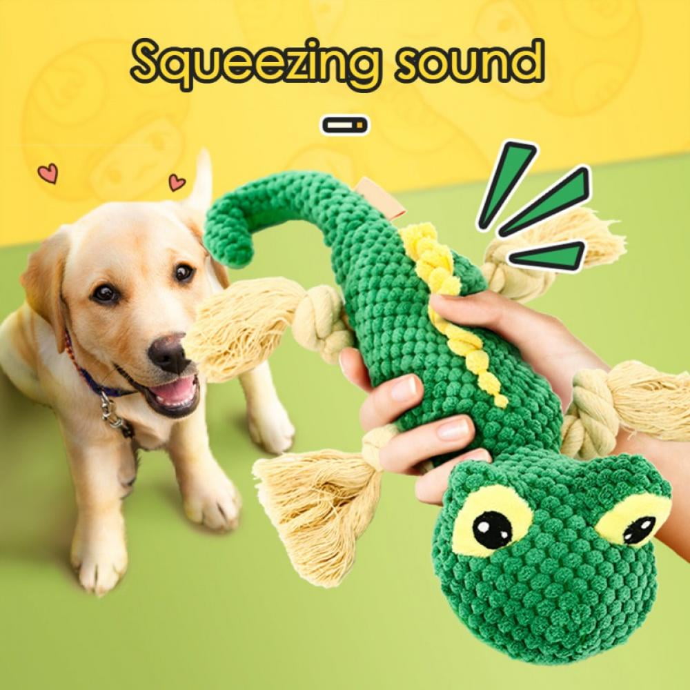 Does Tug Of War Hurt Dogs