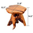 Natural Edge Cedar Wood Tree Stump Garden Stool End Table Indoor