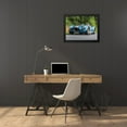 thumbnail image 3 of Stephen Chambers 18x15 Black Modern Wood Framed Wall Art Titled - Ac Cobra 1, 3 of 6