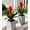 Red, variant on Fake Flowers Plants for Outdoors, 2 Pcs 16.93" Bromeliad Artificial Flowers Uv Resistant Realistic Faux Flowers for Outdoor Planters Outside Porch Patio Yard Garden Indoor Decoration(White)