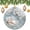 pattern-2236, variant on Christmas Tree Ornaments White And Light Blue Rose Flowers 2024 Christmas Ornaments Abstract Daisy Flower Ornament Hanging Ornaments for Christmas Tree Decoration Xmas Day Home Party Decorations