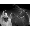 thumbnail image 2 of Llovet, Jorge 18x15 White Modern Wood Framed Museum Art Print Titled - Shall we dance, 2 of 4