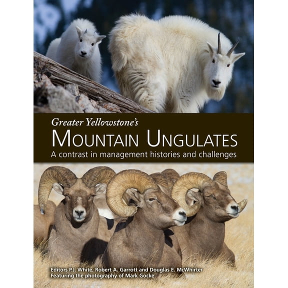 Greater Yellowstone's Mountain Ungulates: A Contrast in Management Histories and Challenges: A, (Paperback)