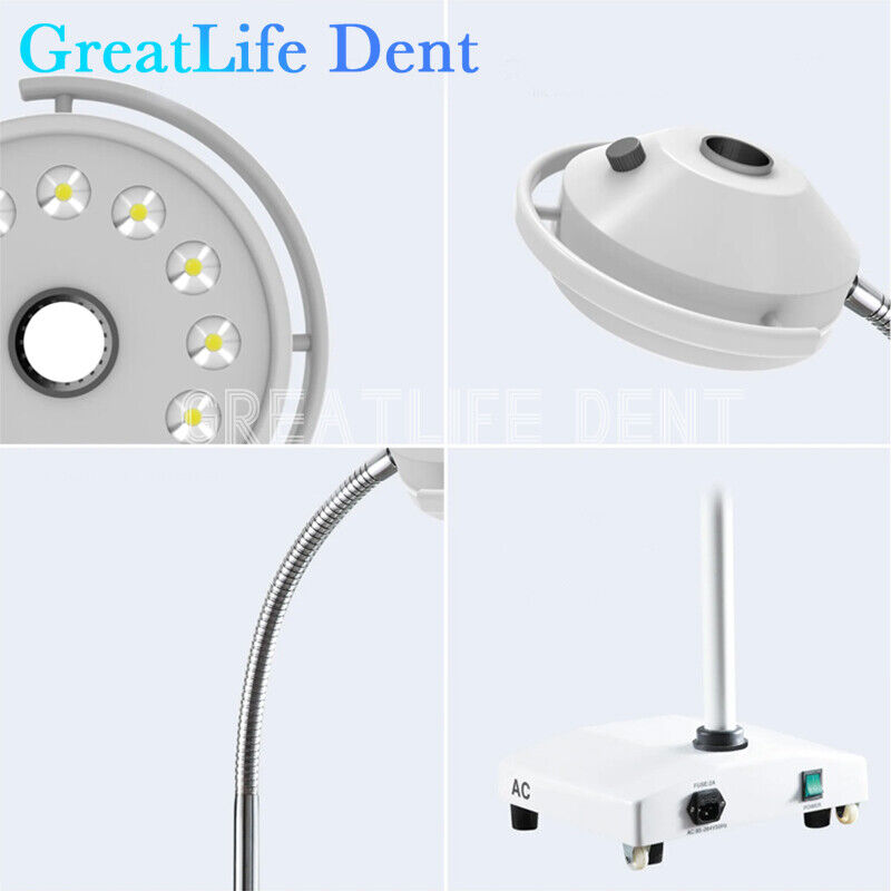 GreatLife Dent USA Stock 36W 12Led Mobile Examination Light Shadowless Surgical Medical Lamp Operating FDA
