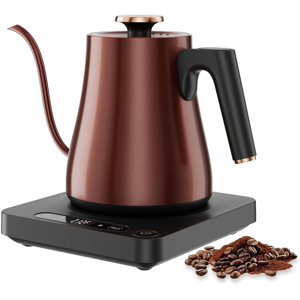 Electric Gooseneck Kettle 1.0L 1000W Copper