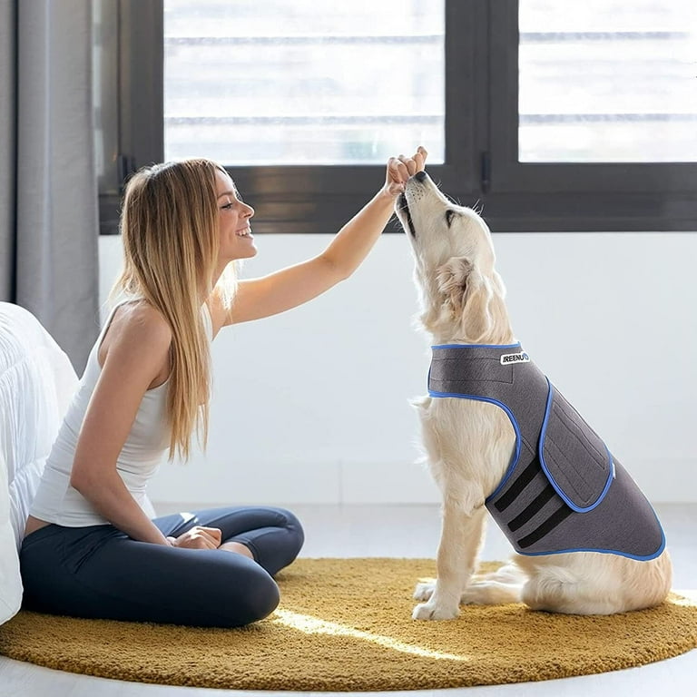 Walmart thundershirt top