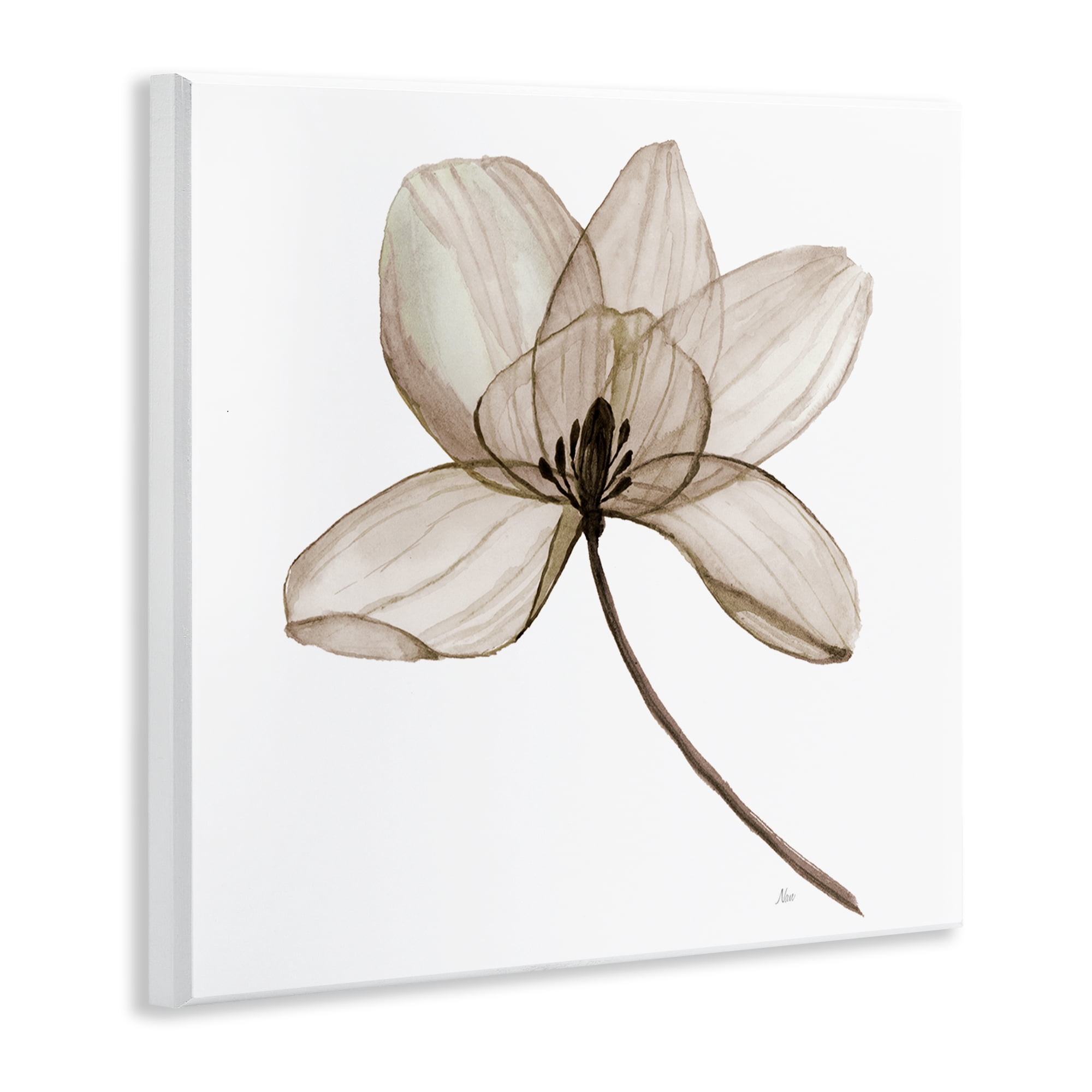 Stupell Industries Beige Opaque Blossom Plants & Flowers Painting Unframed Art Print Wall Art, 12 x 12