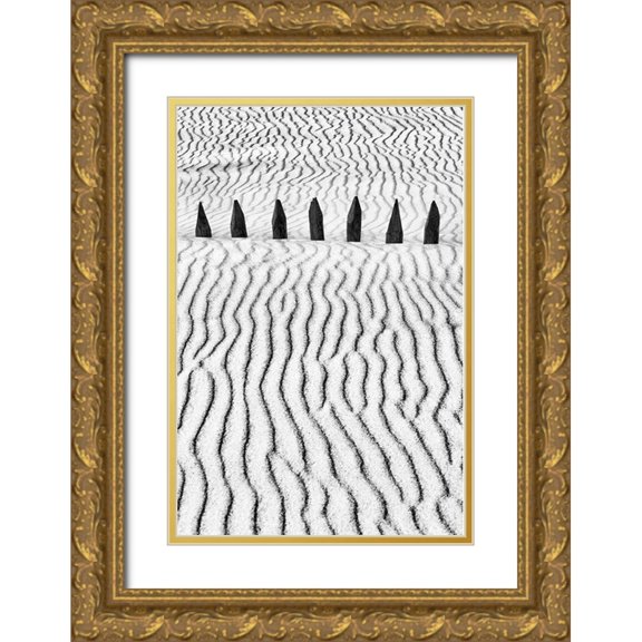 Abrantes, Paulo 17x24 Gold Ornate Wood Framed with Double Matting Museum Art Print Titled - Little Silver Silence