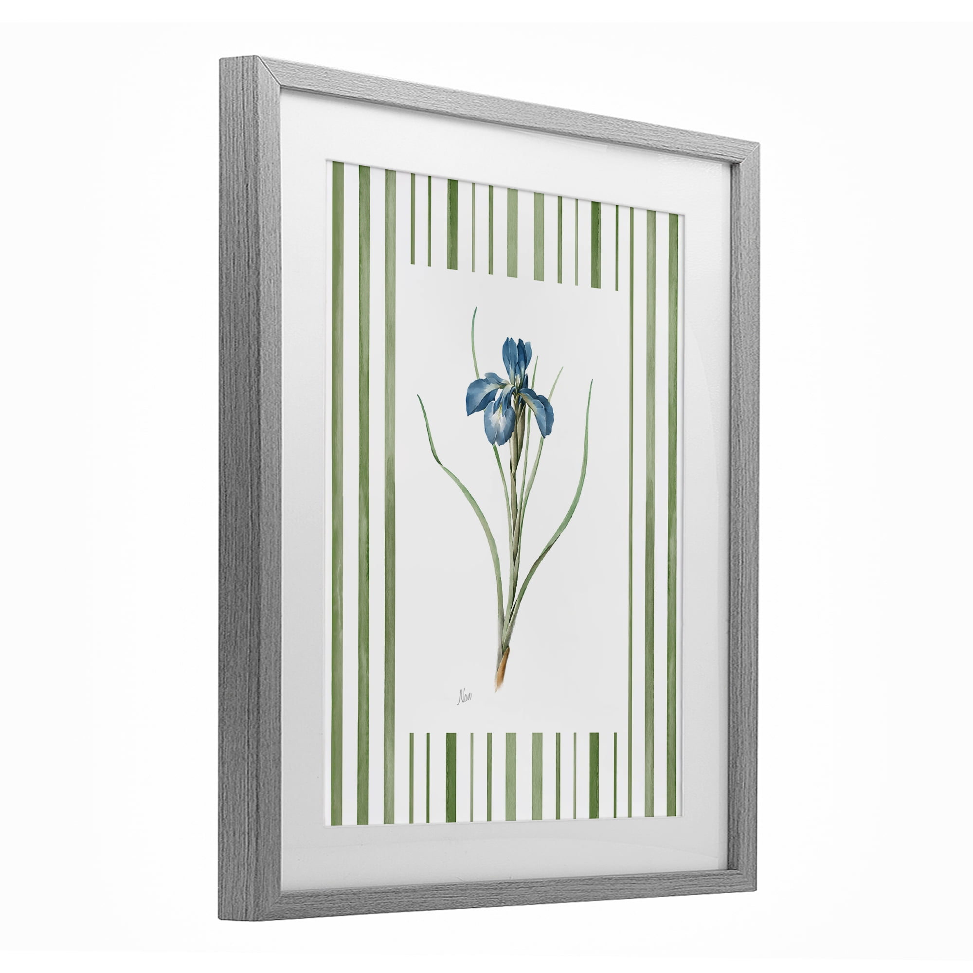Stupell Industries Spring Iris And Stripes Gray Framed Print Under Glass, design by Nan