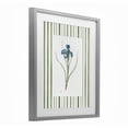 thumbnail image 2 of Stupell Industries Traditional Spring Iris And Stripes Gray Framed Print Under Glass, 17 x 21, by Nan, 2 of 7