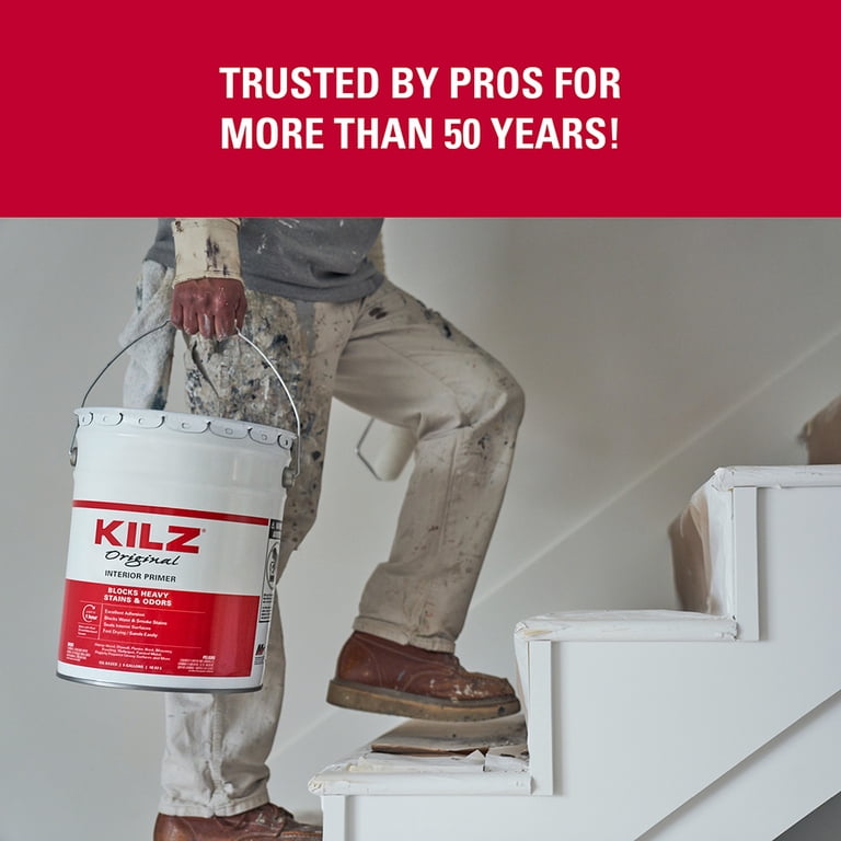 KILZ Original Oil-Based Aerosol Primer, White, Interior Spot
