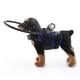 thumbnail image 3 of Dispositivo de Guía de Protectores de Parachoques de Anillo Anticolisión para Mascotas para Perros Ciegos, Tira de Aluminio Cómoda y Segura, Esponja SBR, 3 of 7