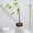 A, variant on 6 Pack Plant Support Stakes, Upgraded Plant Stake for Indoor Plants, Flower Sticks Orchid Stakes Plant Sticks Support for Peony Tomato Rose