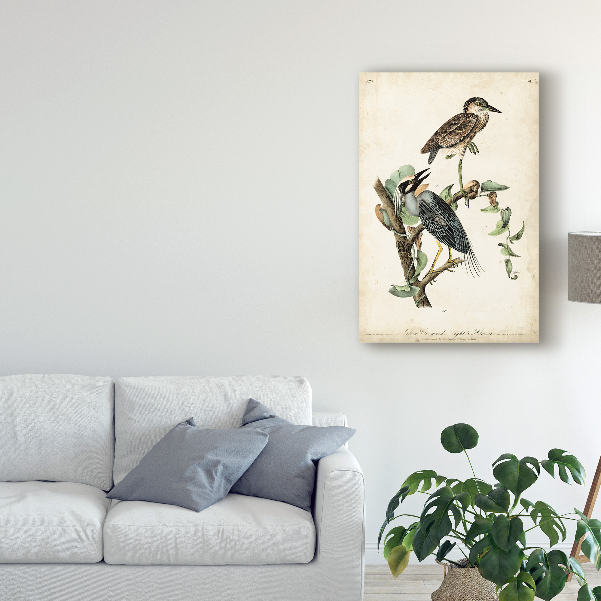 Trademark Fine Art 'Night Heron' Canvas Art by John James Audubon