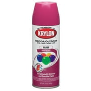 Krylon Raspberry