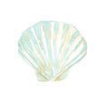 thumbnail image 2 of Price, Lucille 20x24 White Modern Wood Framed Museum Art Print Titled - Priceless Shells III, 2 of 4