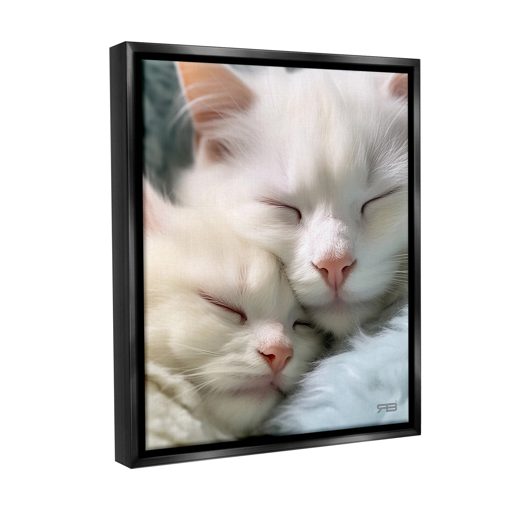 Stupell Industries Cuddling White Cats Animals & Insects Painting Black Floater Framed Canvas Art Print Wall Art, 17 x 21