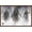 Mahogany Framed Version, variant on Disney Pirates of the Caribbean: At World's End - Group Wall Poster, 14.725" x 22.375"