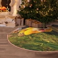 thumbnail image 2 of Lsque Pikmin Print Christmas Tree Skirt with Ties and Velcro,Xmas Holiday Decorations, Adjustable Tree Skirt-36", 2 of 6