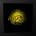thumbnail image 2 of Carson, Brian 20x20 Black Modern Framed Museum Art Print Titled - Yellow Begonia, 2 of 5