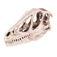 thumbnail image 3 of Practical Resin Dinosaur Skull, Dinosaur Skull Model, Decoration For Office Living Room Desktop, 3 of 8